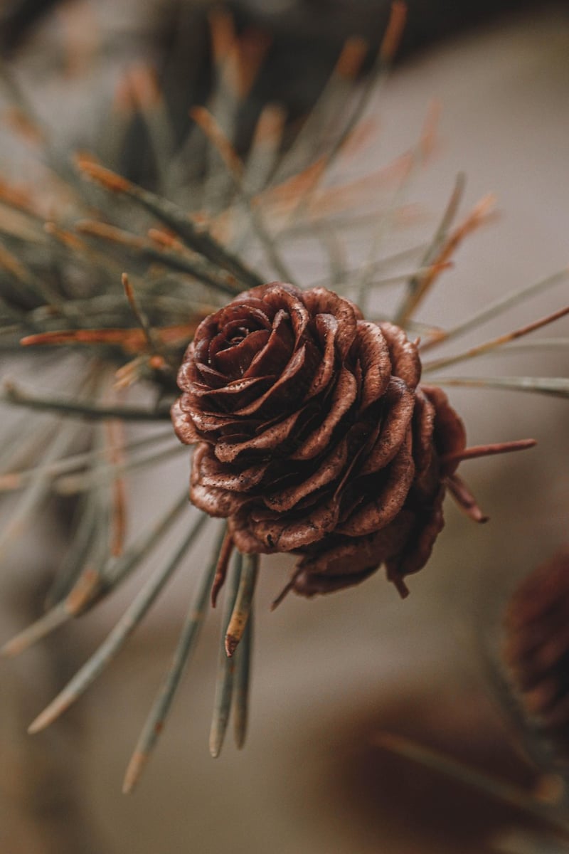 Winter Tree